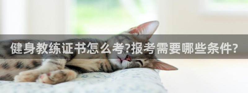 z6尊龙官方网站