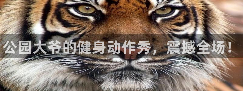 z6尊龙官网