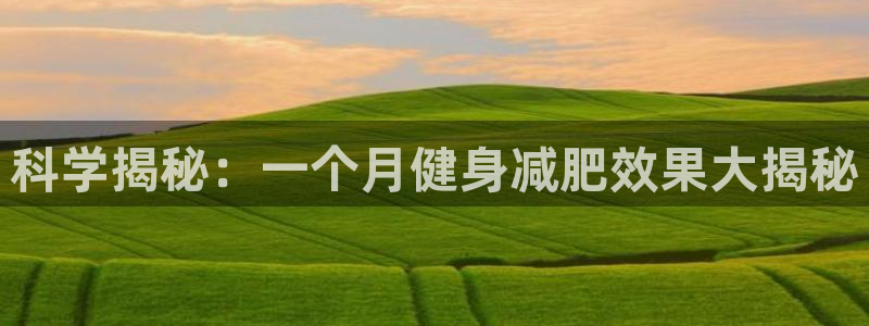 d88尊龙官网手机app