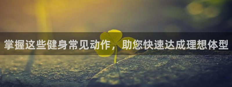 d88尊龙手机游戏