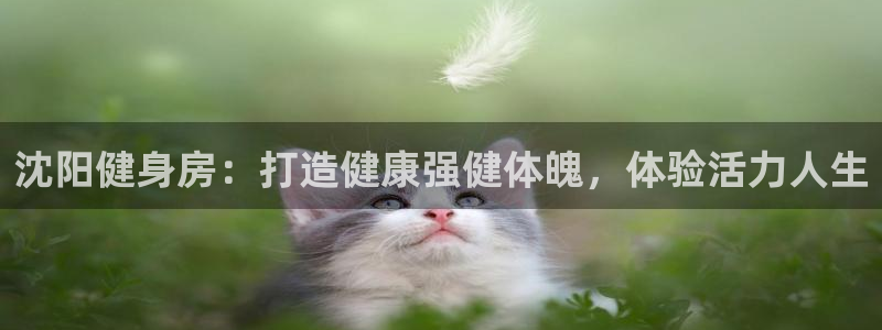 尊龙凯时公司官网