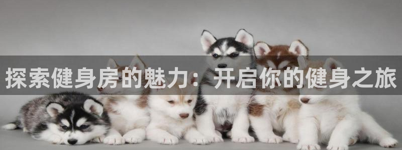尊龙凯时-人生就是博中国官网