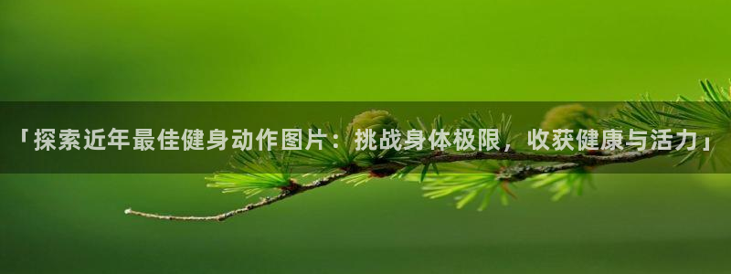 ag尊龙凯时官网