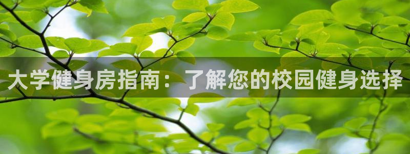 尊龙官方平台