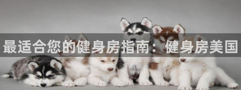尊龙凯时人生就是博·(中国)首页