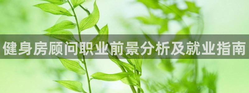 z6尊龙官网