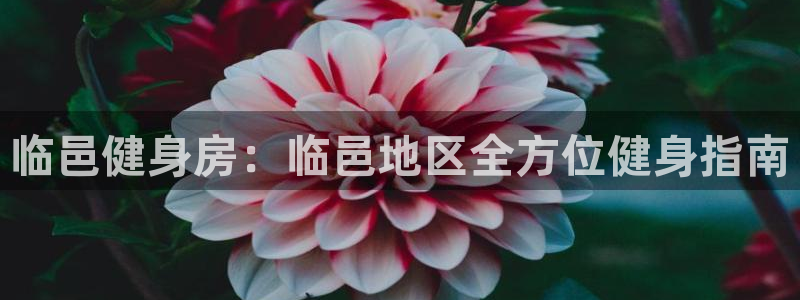 尊龙人生就是博旗舰厅