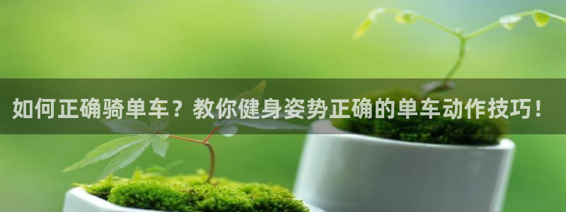 d88尊龙手机游戏