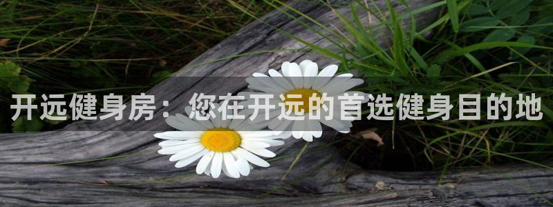 尊龙凯时官方网站