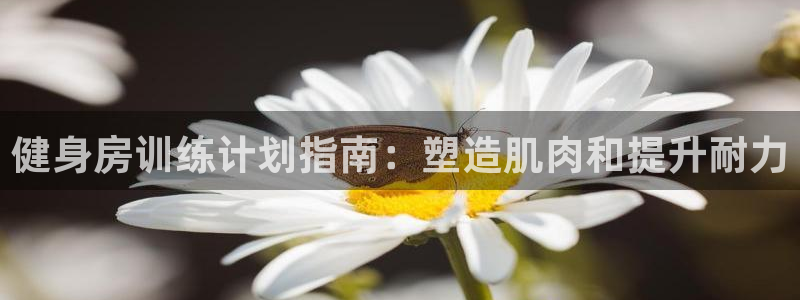 d88尊龙官方网