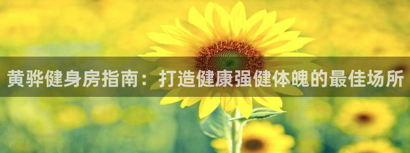 尊龙APP手机版官网