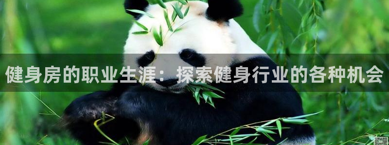 尊龙凯时人生就是博z6com