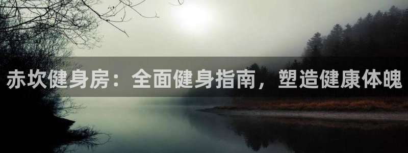 d88尊龙官网手机app