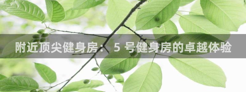 d88尊龙官方网