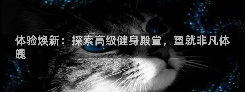 z6com尊龙凯时百家乐