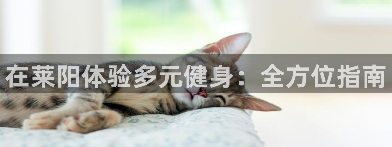 尊龙凯时人生就是博官网登录