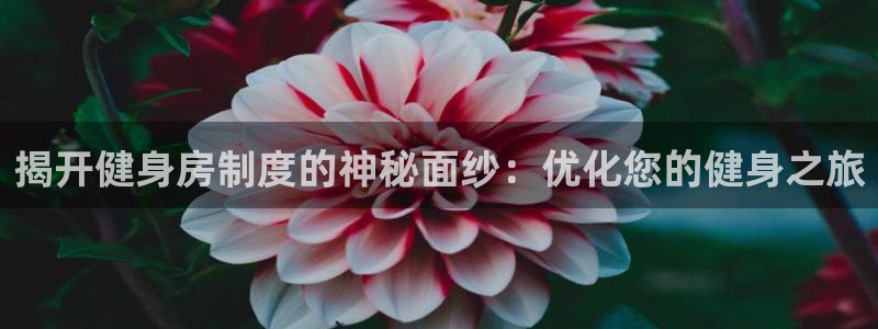 尊龙新版APP首页